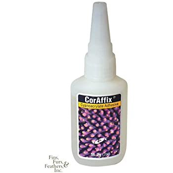 CorAffix 2oz. (56.7 g) Cyanoacrylate Adhesive Two Little Fishies